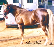 Legendary sire Fire Water Flit