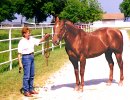 Pat Smith with On The Money Red, May 11, 1998 at Victory Farms, Ada, OK