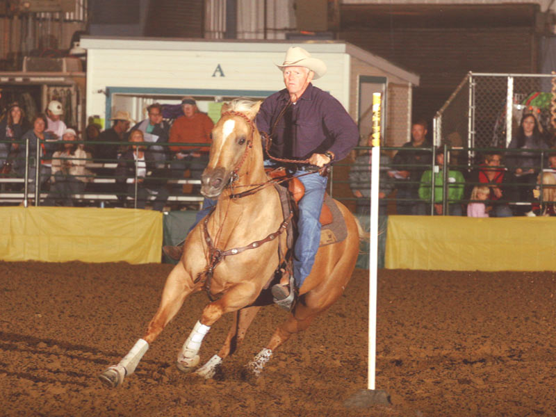 German rein on a pole bending horse